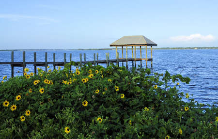Pier on Hutchinson Island の写真素材