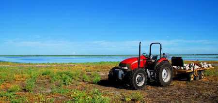 South Florida Farmingの写真素材