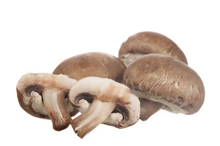 Baby Portobello Mushrooms on white backgroundの写真素材