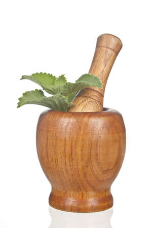 Herb Mortar and Piston on white backgroundの写真素材