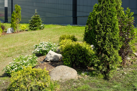 Landscape design. Bushes, rocks Dwarf spruce Flowers Fernの写真素材