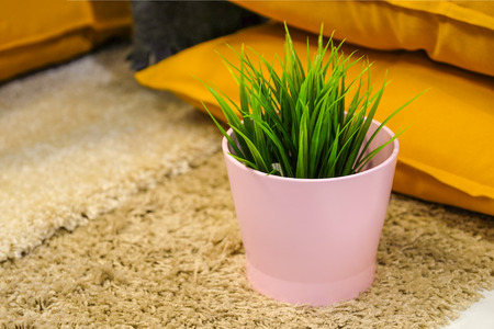 Interior design with green plant in pink ceramic pot. Next to the Colored pillows.の写真素材