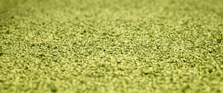 Stack gray bath mats bath mats Stack, stacked on top of each other. Terry mats.の写真素材