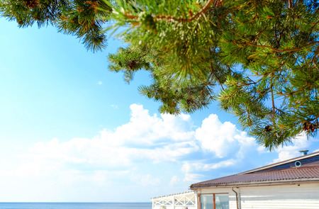 Beach with sand dunes and grass marram in the soft evening sunset light. Summer holiday. Pine branches on the background of the restaurant.の写真素材