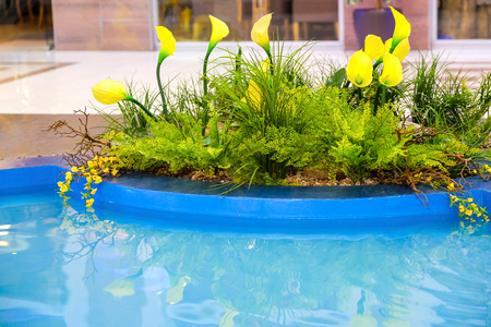 flowers by the pool. typicla hibiscus flowers in Gran Canaria by a pool sideの写真素材