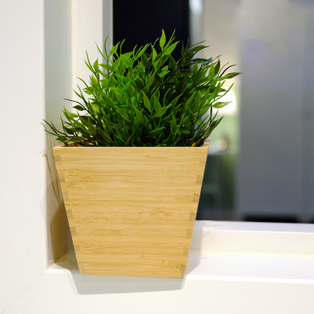 In a wooden box decorative home greens. In the kitchen on the background with. Artificial grass. Interior landscape design.の写真素材