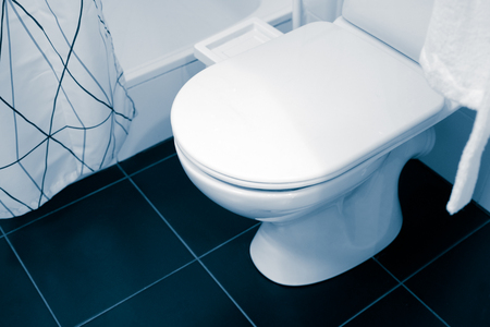 Large white and ceramic toilet seat fixture. Shower, curtain. White Bathrobe on a hanger.の写真素材