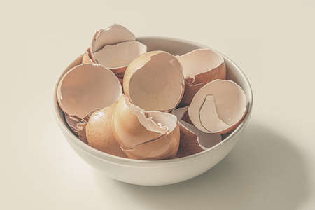 The broken shell of a dozen eggs lies in a plate. Eggshells are a source of calcium