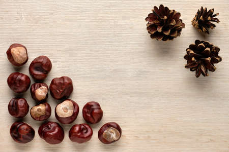 Chestnuts and pine cones on a wooden background. Flat lay, top viewの写真素材