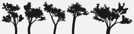 Set of deciduous tree silhouettes isolated not white background. Vector illustration.のイラスト素材