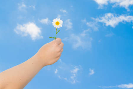hand holding a daisy in front of the blue sky with clouds with space for textの写真素材