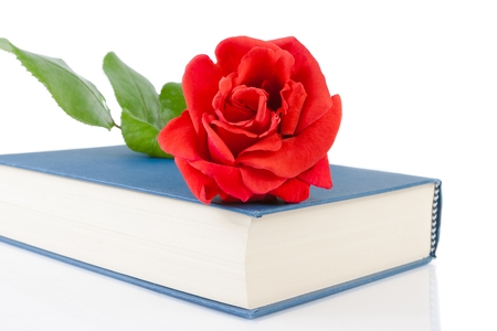 red rose on closed book on white background with space for textの写真素材