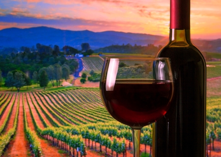 glass with red wine and bottle on the vineyards background, atmosphere sunsetの写真素材
