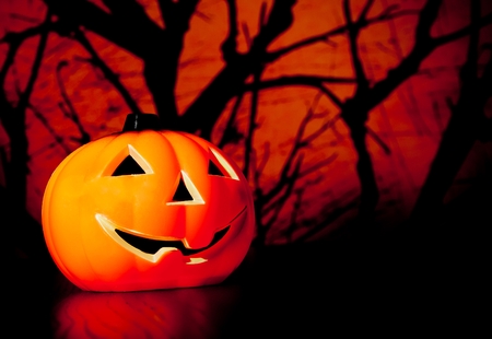 Halloween night background with scary dark forest and pumpkin, halloween party conceptの写真素材