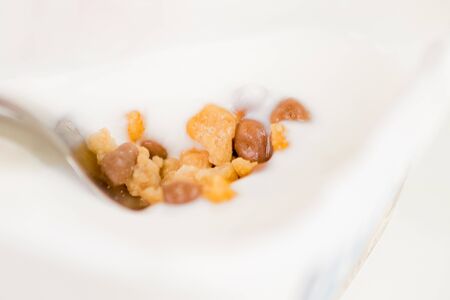 close-up of healthy cereal and chocolate and white yogurt on the spoon, concept of healthy food...