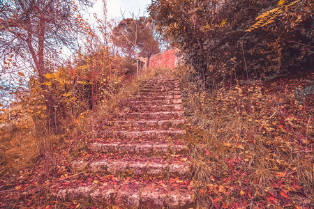 yellow and red colorful leaves autumn colors in the forest with a stairs and sunshine in the leaf fall season autumnの写真素材