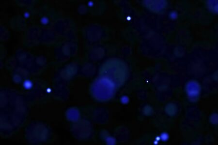 abstract blue bubbles particles bokeh on black background, event festive happy new year holiday conceptの写真素材