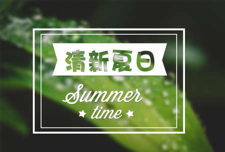 Summer holiday Posterの写真素材