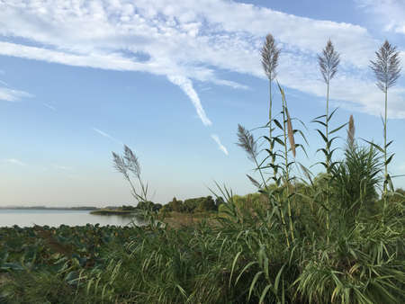 East Lake view の写真素材