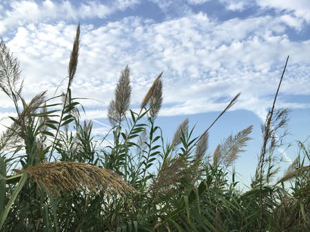 East Lake view の写真素材