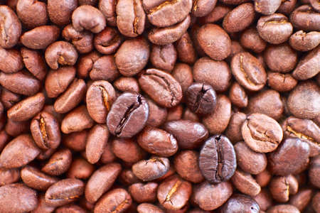 Fresh coffee beans that have not been crushedの写真素材
