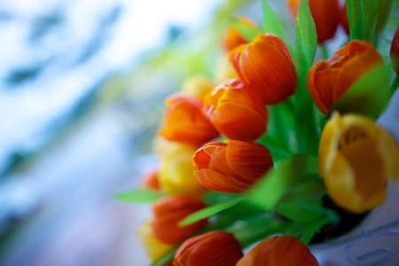 Violas in a pot on the sidewalk middleの写真素材