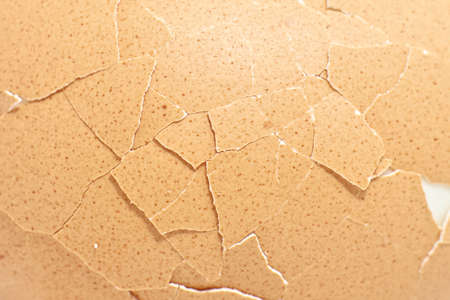 Broken egg の写真素材