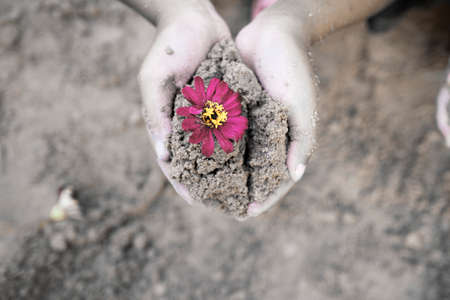 Hand planting soil in black and white.の写真素材