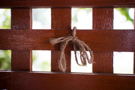 Cords of wood.の写真素材