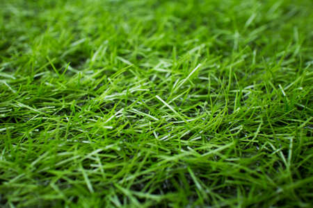 Artificial turf