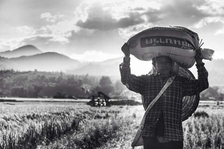 Farmer in thailandの素材