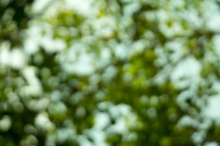 bokehの写真素材