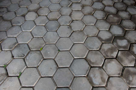 Garden Walkway