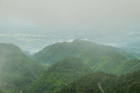 misty forestの写真素材