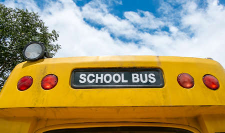 school busの写真素材