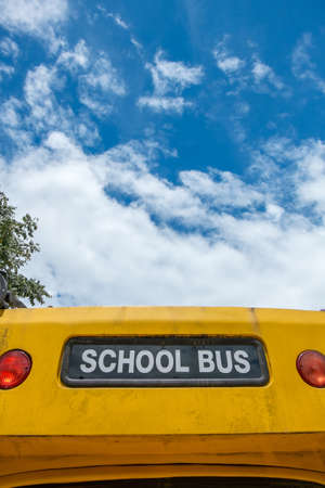 school busの写真素材