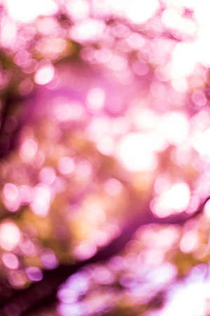 bokehの写真素材