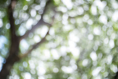 bokehの写真素材