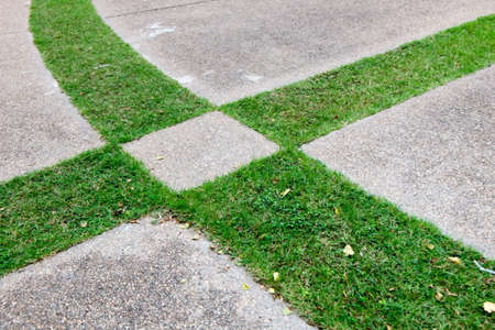 Lawn in the gardenの写真素材