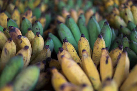 bananaの写真素材