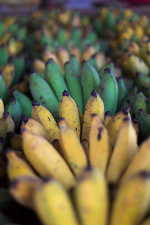 bananaの写真素材