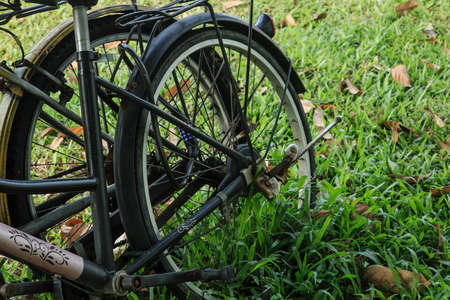 abandoned bike on the lawn closeup viewの写真素材