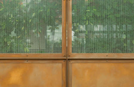 vintage metal door with glass windowの写真素材