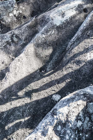 wave shape Stone texture with shadow backgroundの写真素材