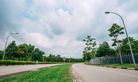 country road through the forest green area