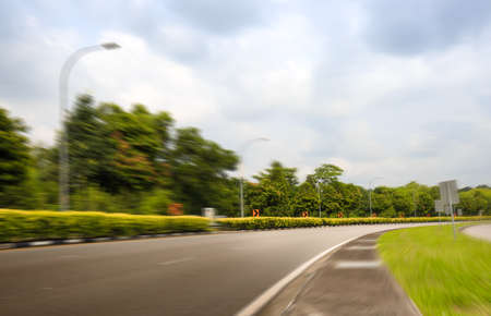 country road through the forest green area