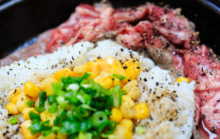 raw beef and rice diet close up viewの写真素材