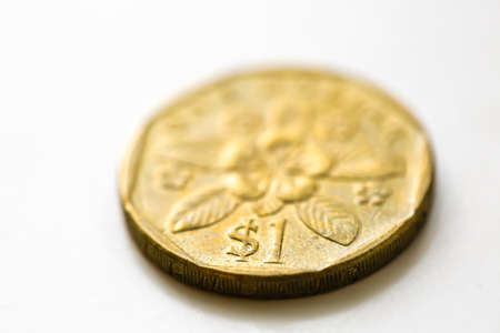 Singapore golden one dollar coin closeup viewの写真素材