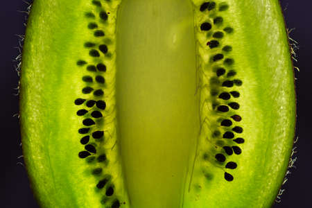 Slice of kiwi fruit isolated closeup viewの写真素材