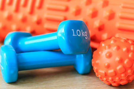 Pair of Blue Purple 1 kg Workout Exercise Dumbbellの写真素材